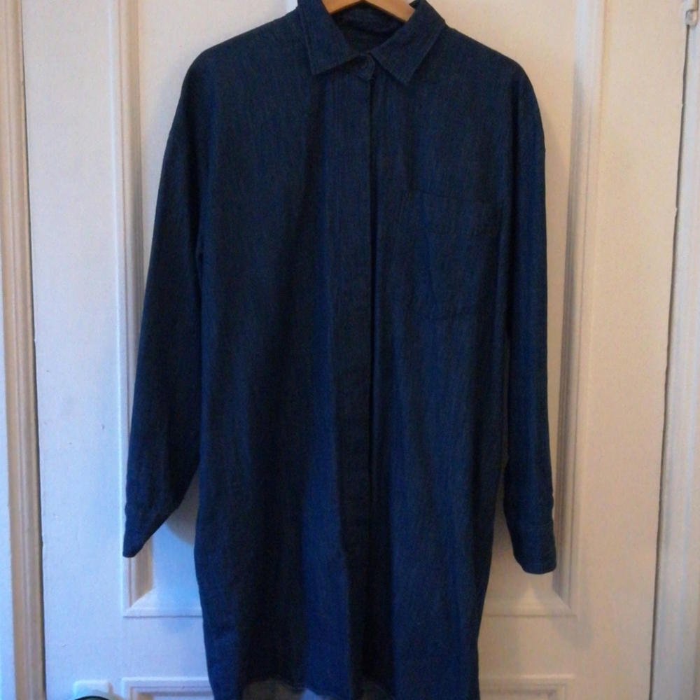 Frank & Oak Blue Shirt Dress